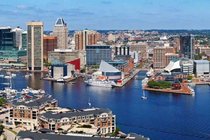 The Williams Home Team