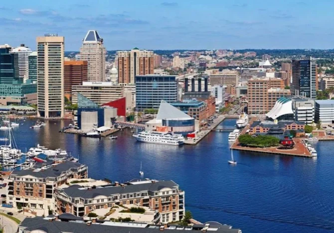 The Williams Home Team