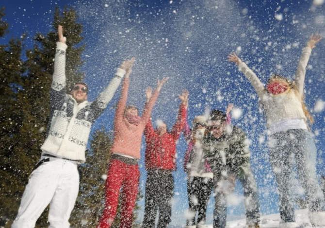 The Williams Home Team