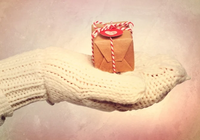 The Williams Home Team